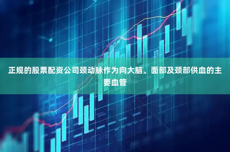 正规的股票配资公司颈动脉作为向大脑、面部及颈部供血的主要血管