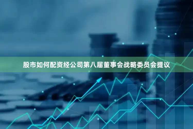 股市如何配资经公司第八届董事会战略委员会提议