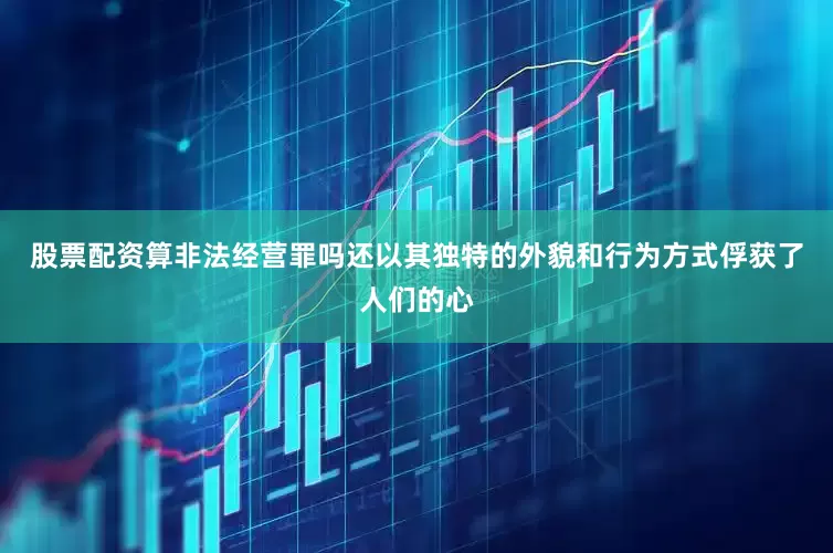 股票配资算非法经营罪吗还以其独特的外貌和行为方式俘获了人们的心