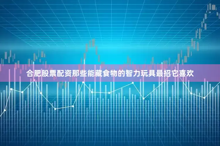 合肥股票配资那些能藏食物的智力玩具最招它喜欢